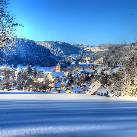 Gaestehaus Schwoerer *