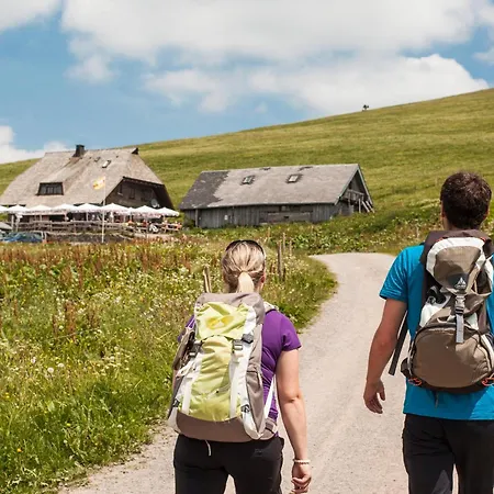 Gaestehaus Schwoerer Дом отдыха Ленцкирх