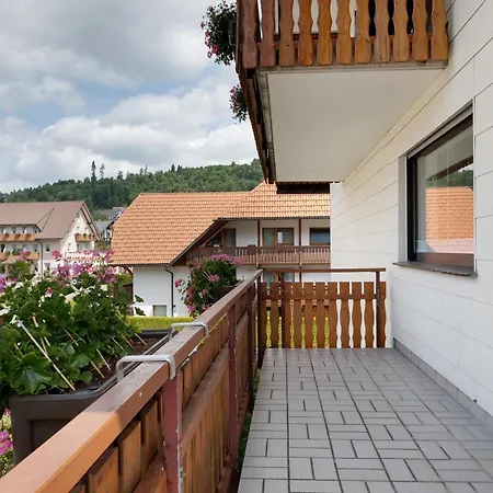 Дом отдыха Gaestehaus Schwoerer Ленцкирх