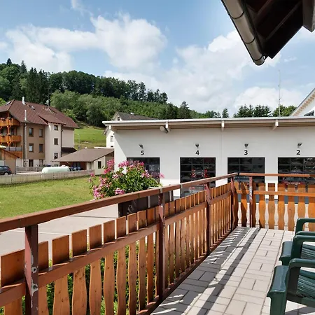 Gaestehaus Schwoerer 招待所 *