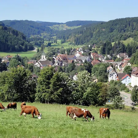 Casa de Férias Gaestehaus Schwoerer