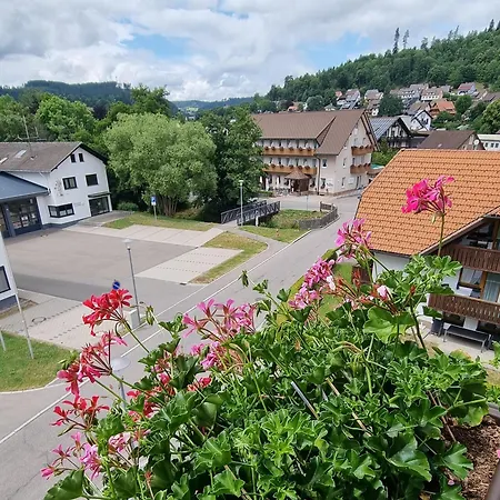 Gaestehaus Schwoerer * Lenzkirch