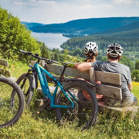 Gaestehaus Schwoerer * Lenzkirch