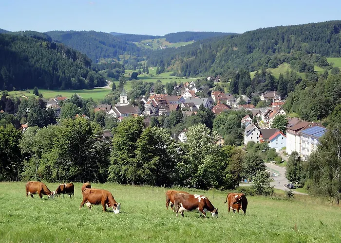 Hébergement de vacances Gaestehaus Schwoerer